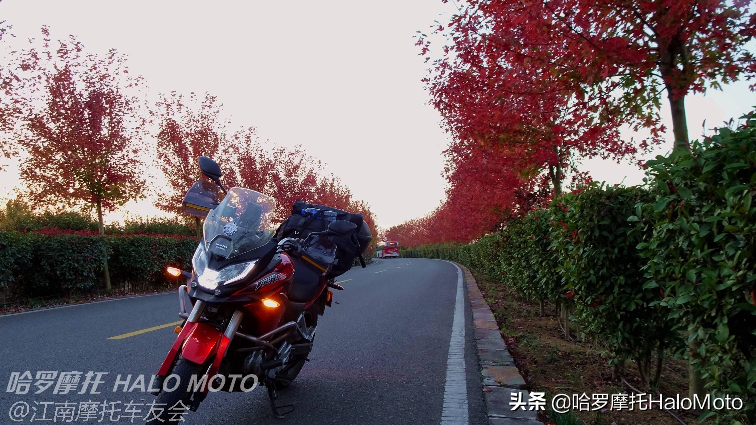 新大洲本田cbf190x视频评测,哈啰车评