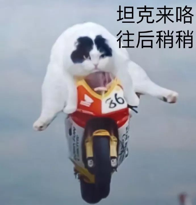 拼多多质量好价格低的店,均价不到十块的好物