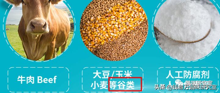 耐吉斯猫粮出现的问题,耐吉斯猫粮比利时版为什么没有了