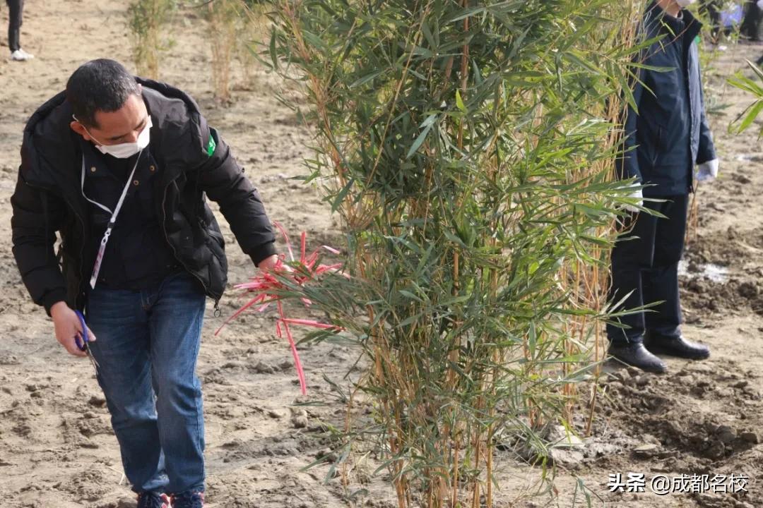 成华区新建湿地公园有哪些,成华区的综合性公园有哪些