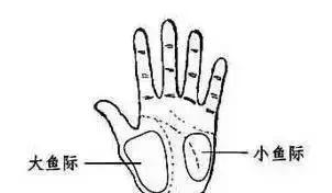 中老年穴位拍打养生操教学视频,十二经络二十八个穴位拍打操