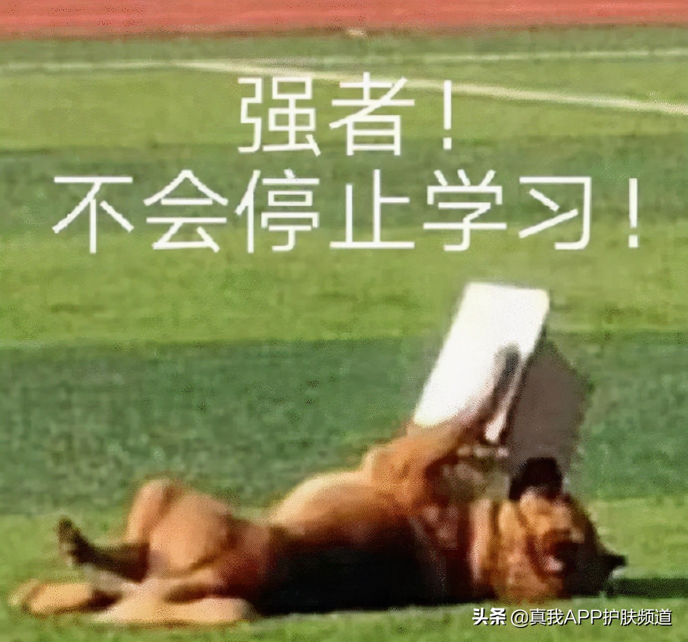 去闭口应该刷酸还是用药,闭口粉刺用果酸还是水杨酸比较好