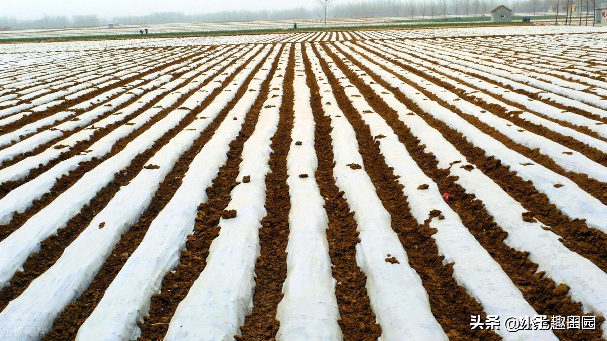 生态农业的优势及前景,生态农业发展存在的问题