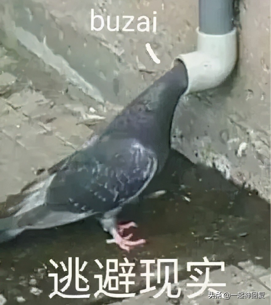 女生第一次脱毛应该怎么做,女生用的最多的脱毛方法