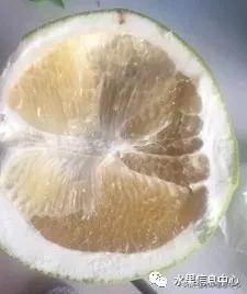 在网上买水果有哪些坑,在网上买水果划算吗