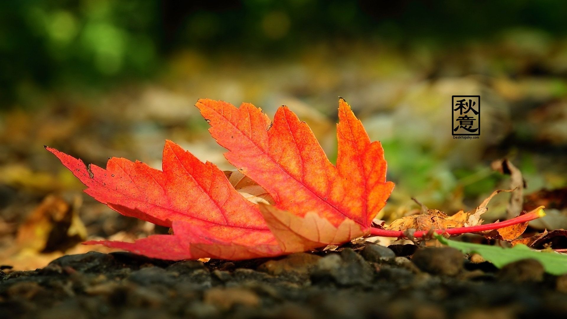 中国的传统节日全是黄道吉日,在古代特别讲究黄道吉日