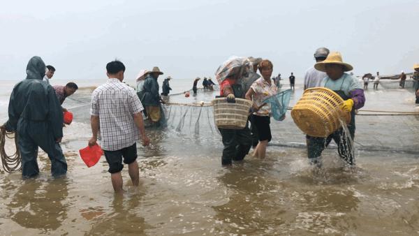 吴阳拉大网后续,吴阳直播海鲜