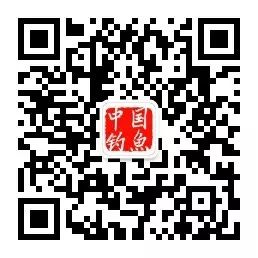 古黄河野钓连续三载成品牌赛事，睢宁县表示已申报大世界基尼斯