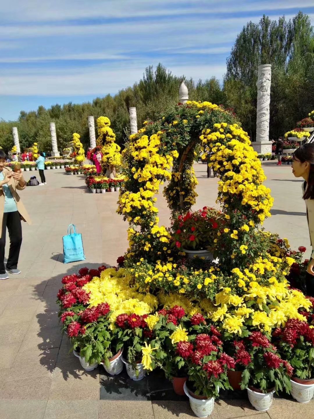 菊香九月香,菊花飘香散文