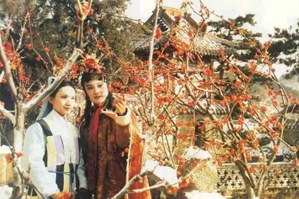 择膏粱谁承望流落在烟花巷翻译,择膏粱谁承望流落在烟花巷