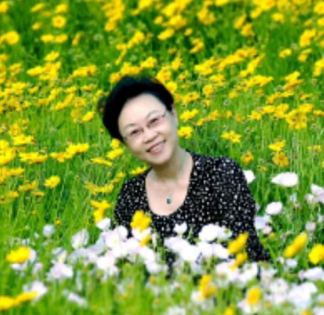 木槿：《梦中的老屋》诵/清馨百合