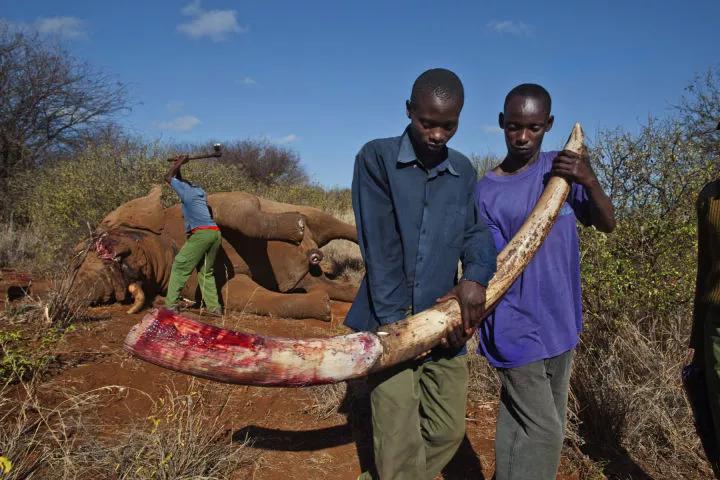 15岁怀孕，她被骗吃下*药炸**，一尸两命：有些人，这辈子不配为人