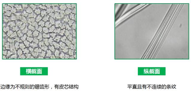 天丝棉和真丝的区别,天丝棉麻与棉料棉麻区别