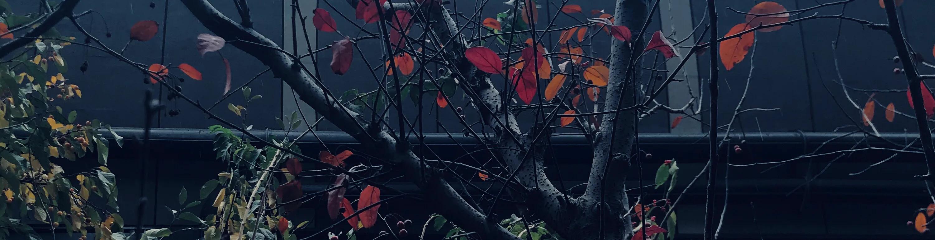 美好的定义,美的定义是什么