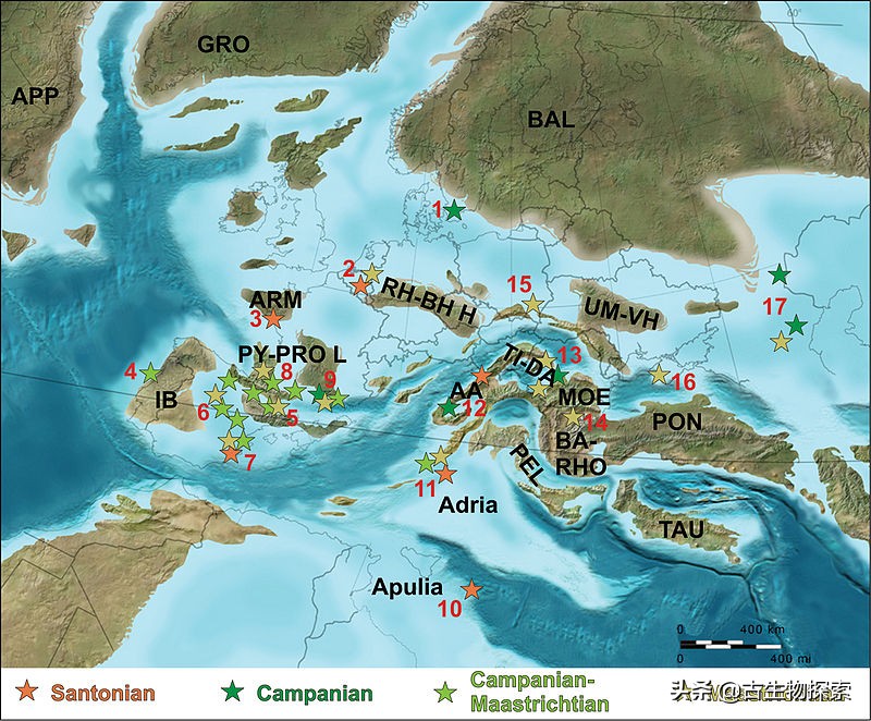 巨型翼龙视频,超大型翼龙