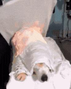 21岁少女“自杀式”减肥，智商税到底还要交多少？