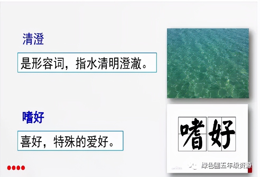 五年级部编版语文白鹭讲课视频,部编小学语文五年级上册白鹭课件