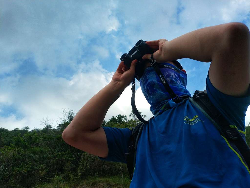 无惧强光视野无限--德国视得乐BluHorizons体验