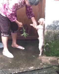 搞笑时刻心情变好,搞笑时刻大家开心就好