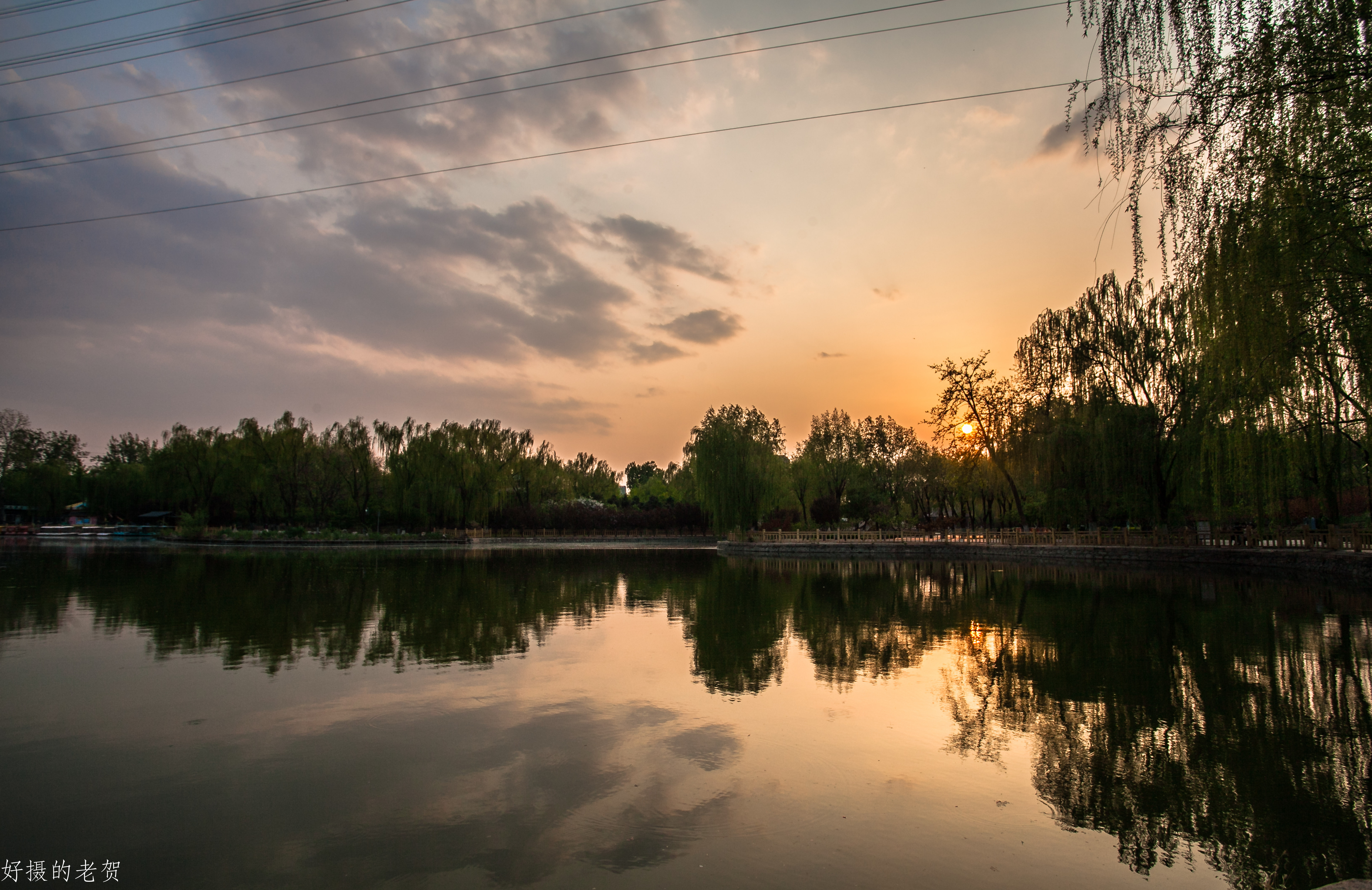 小小街头公园也有春天？疫情期间，它成为唯一舒缓心情的伊甸园