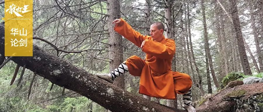 最强武术螳螂拳,中国传统武术拳法之螳螂拳