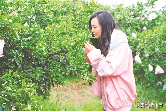 有什么好的乡村振兴方法,特色农业为乡村振兴注入新动能