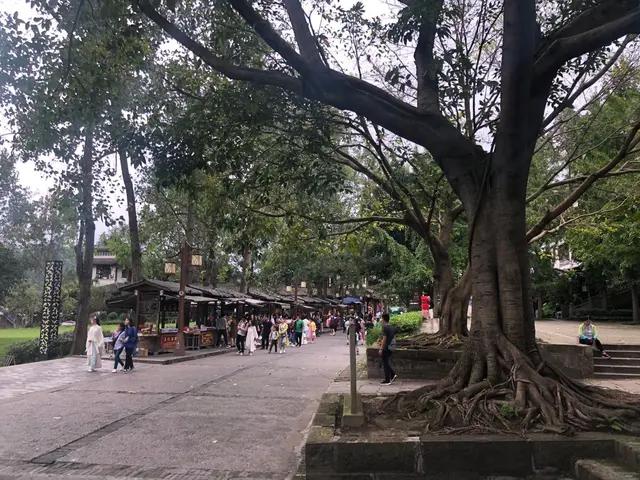 我的中国心中文版,我的中国心全集