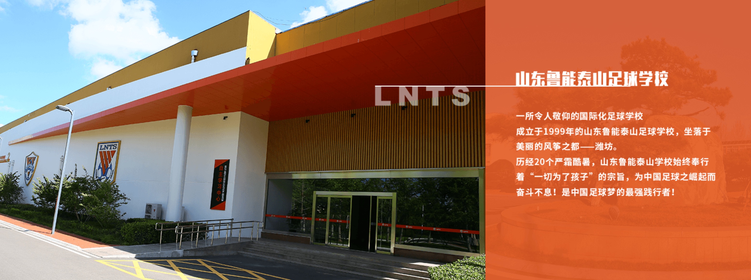 鲁能巴西青训基地,揭开神秘的面纱图片