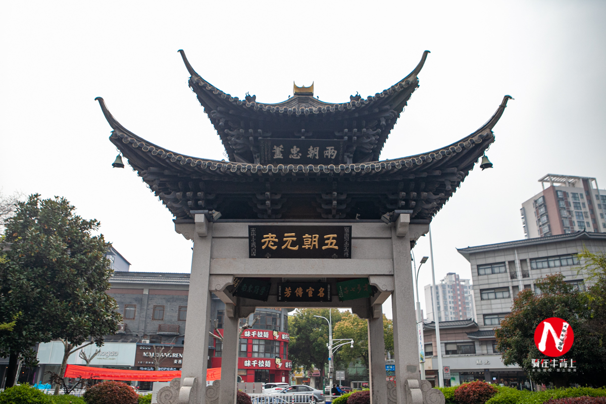 兴化看油菜花一日游,兴化千亩油菜花旅游