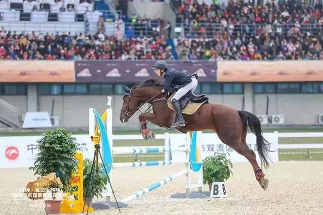 双流新修的风景区,双流变化