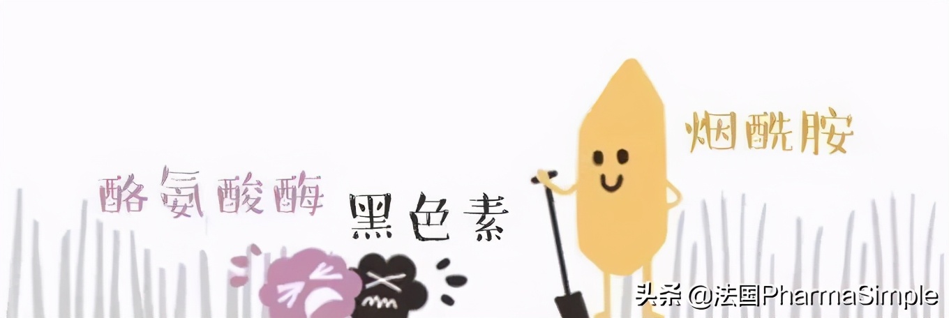 vc烟酰胺熊果苷哪个美白更靠谱,vc烟酰胺熊果苷使用顺序