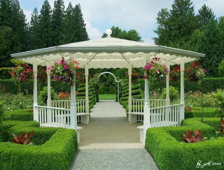 美景欣赏完整版,美景欣赏花朵