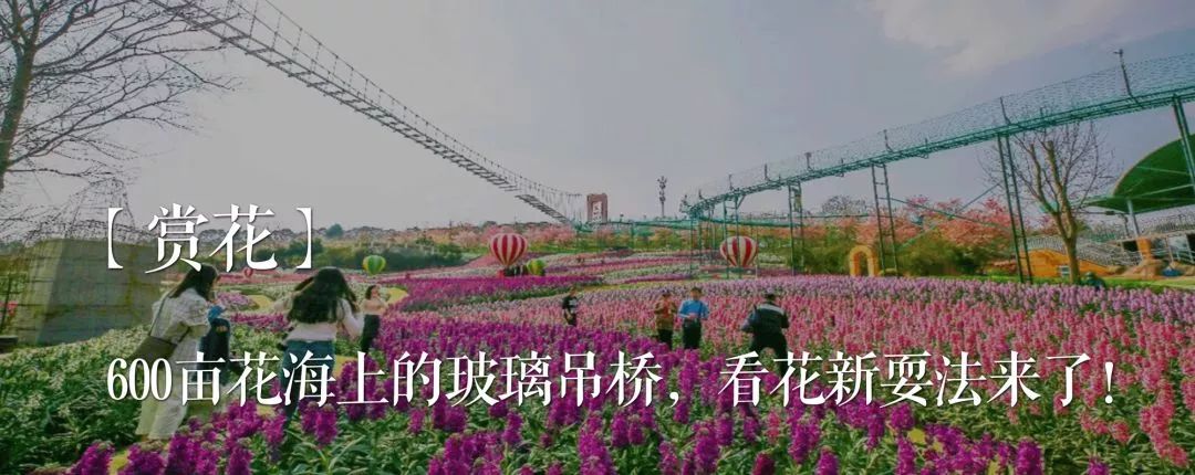 除了华西医院，你对华西坝一无所知！