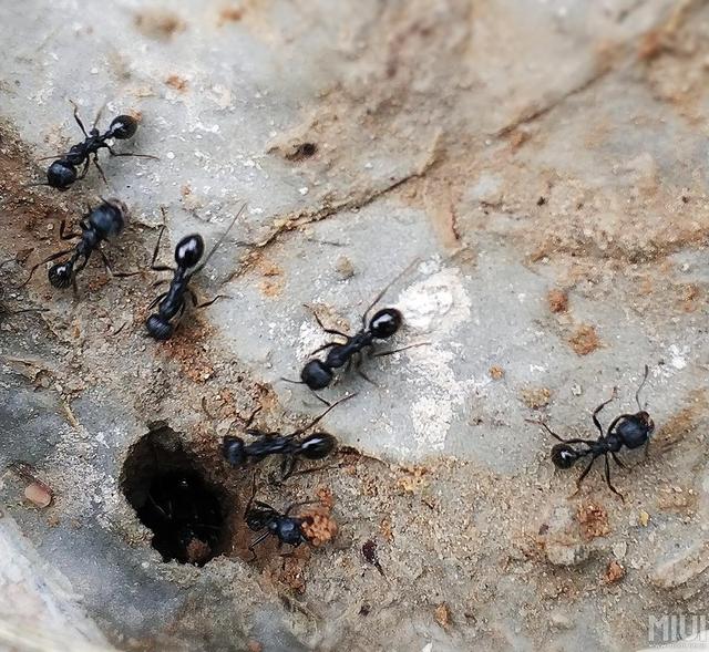 生活的智慧完整版,生活的智慧简短感悟