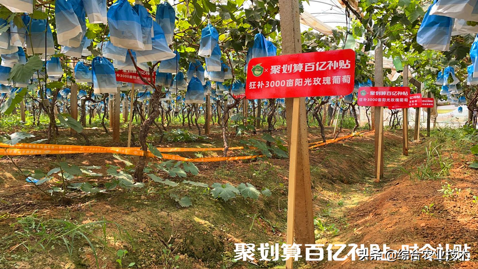 建水上亿富豪,身价上亿的电商老板