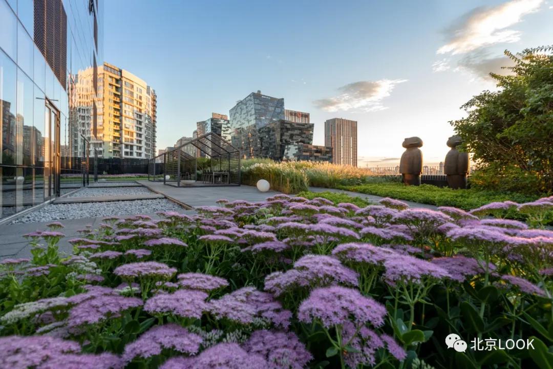 soho极简小办公室,soho北京总部设计