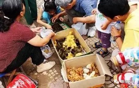 天津哏儿都的好去处,天津哏儿都