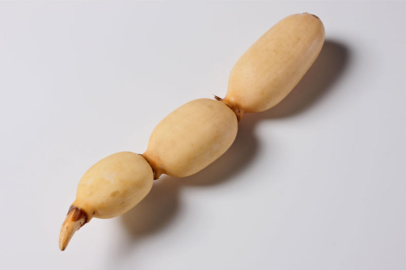 椴树蜂蜜减肥的正确吃法,蜂蜜减肥的正确吃法