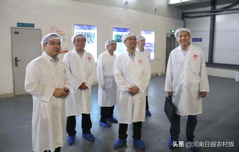 汤阴复工复产的最新通告,真金白银支持复工复产