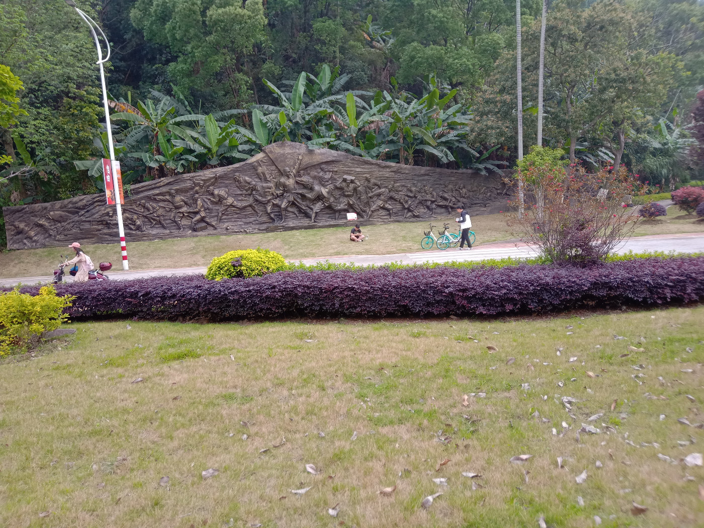 福州大学就像一座大公园，风景美到爆！最美的世界一流学科院校