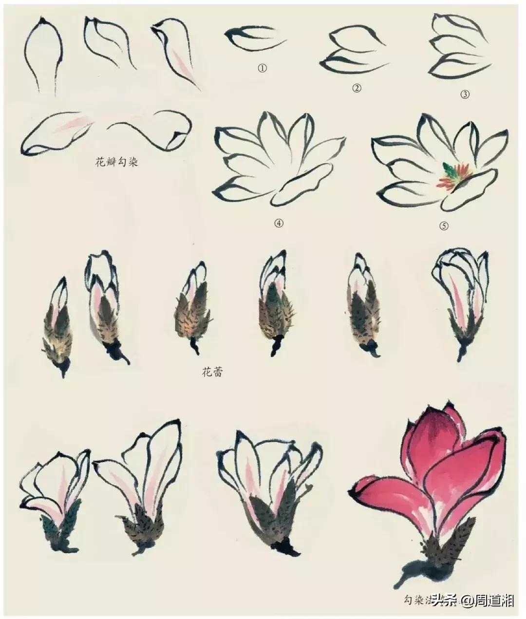 国画花卉大全教程视频,花卉小品国画图片大全