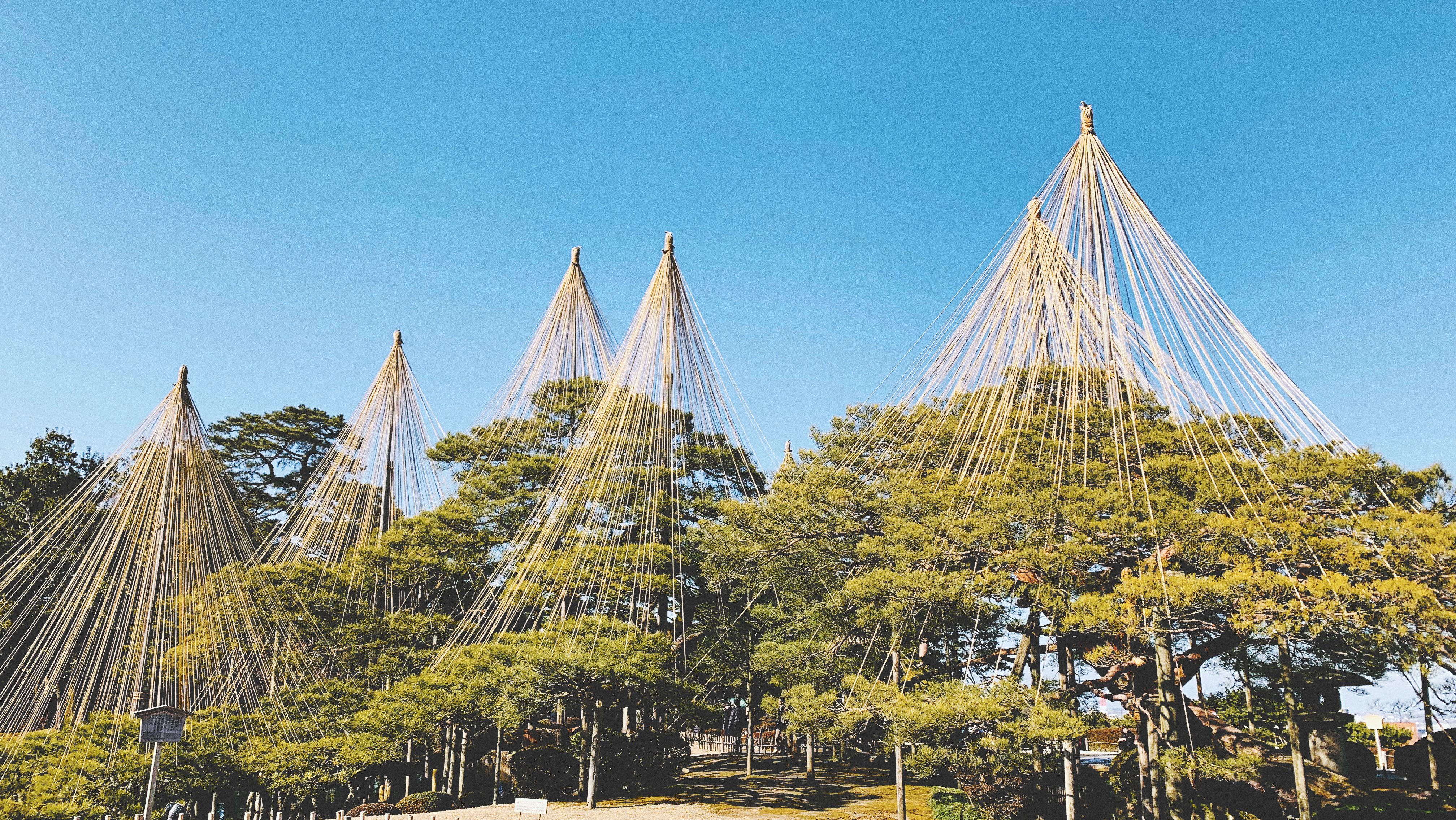 去日本旅行一般要带多少钱,去日本旅游至少要花多少钱