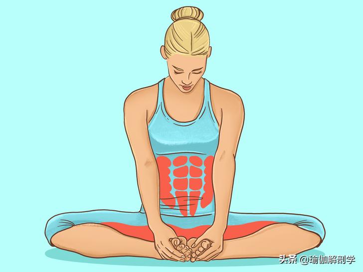 16个基础瑜伽体式“效果图”，初学者练对很重要