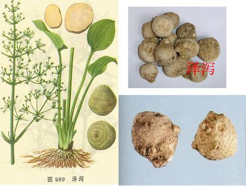 老中医的清痘手法,老中医治痘的方子