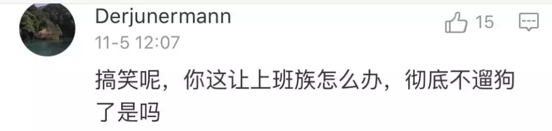 养狗条例晚上能小区遛狗吗,最严养狗令最新消息