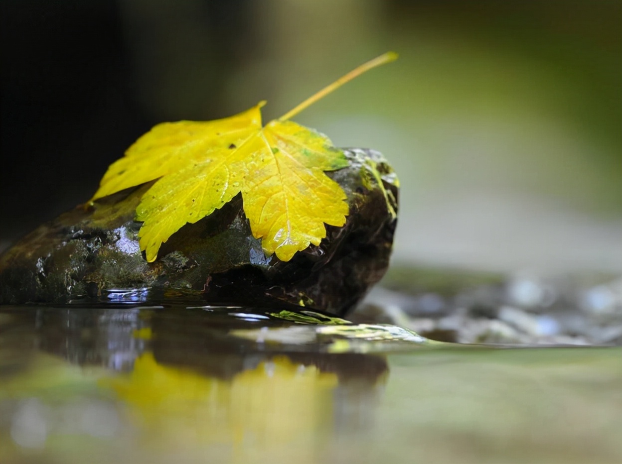 去秋燥内火吃什么,推荐10种食物败火去秋燥