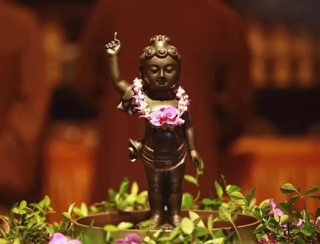 恭迎释迦牟尼佛圣诞祈福法会,恭迎释迦牟尼佛诞辰浴佛场面