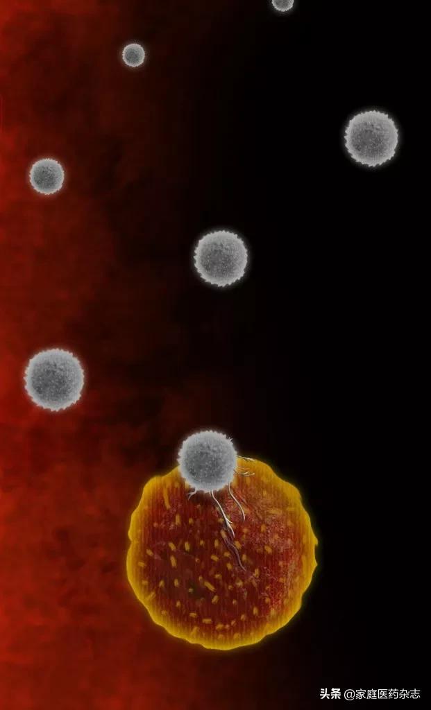 鍋囧鐥呮瘨鎰熸煋浜嗘垜,鍋囧鐥呮瘨鎰熸煋浜嗕綘