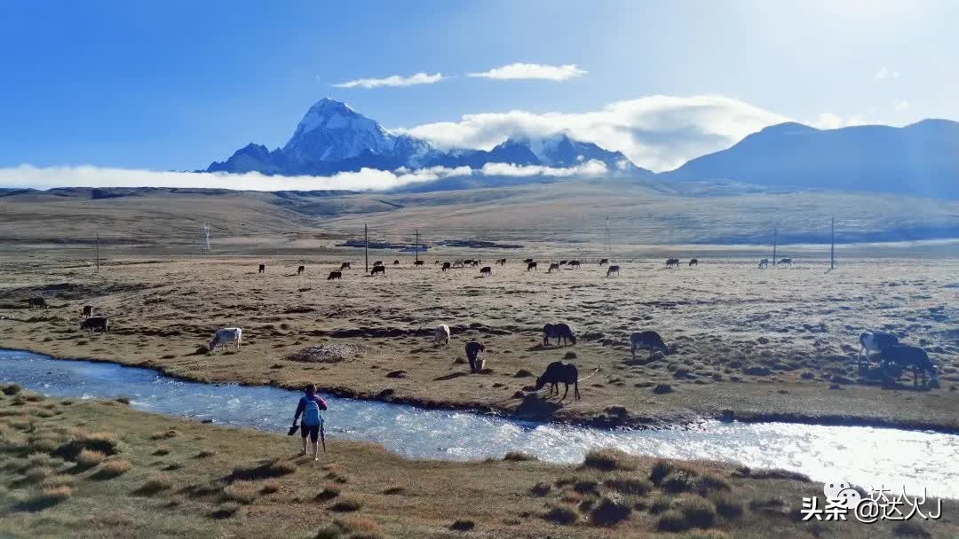 有一种信仰叫爱情,心目中的珠穆朗玛峰