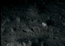 响尾蛇捕杀跳鼠,沙漠跳鼠大战响尾蛇